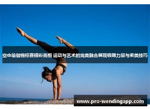 空中瑜伽锦标赛精彩亮相 运动与艺术的完美融合展现极限力量与柔美技巧