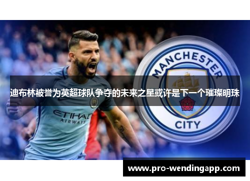 迪布林被誉为英超球队争夺的未来之星或许是下一个璀璨明珠 迪布林被誉为英超球队争夺的未来之星或许是下一个璀璨明珠