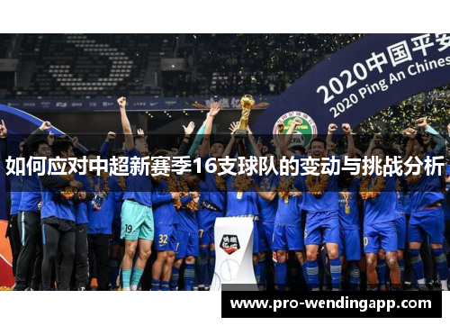 如何应对中超新赛季16支球队的变动与挑战分析 如何应对中超新赛季16支球队的变动与挑战分析