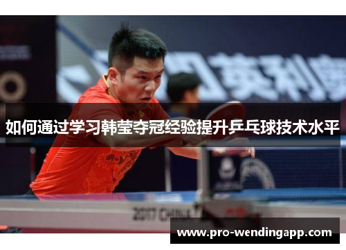 如何通过学习韩莹夺冠经验提升乒乓球技术水平
