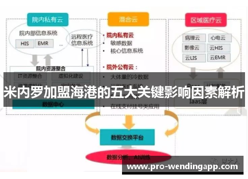 米内罗加盟海港的五大关键影响因素解析