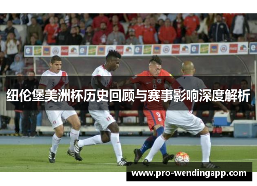 纽伦堡美洲杯历史回顾与赛事影响深度解析