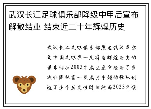 武汉长江足球俱乐部降级中甲后宣布解散结业 结束近二十年辉煌历史